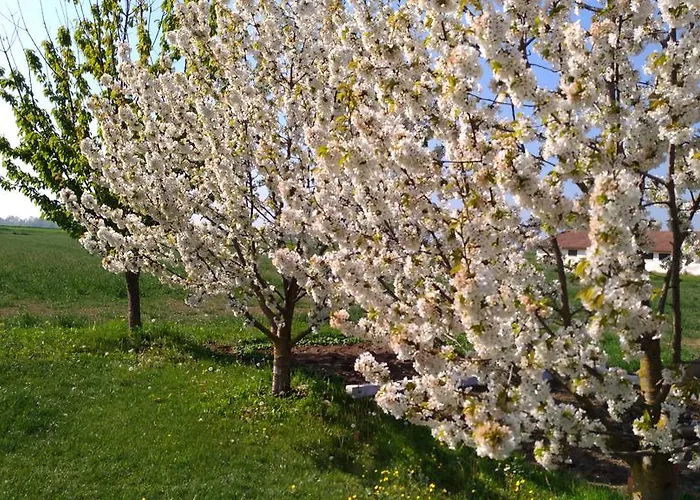 Il Portico Praticello di Gattatico