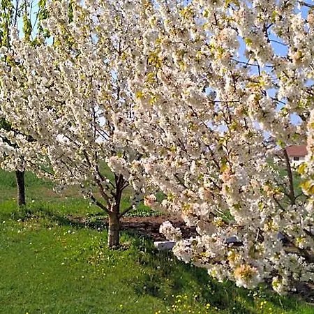 Oda ve Kahvaltı Il Portico Praticello di Gattatico