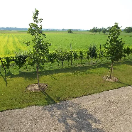 B&B Il Portico Bed & Breakfast