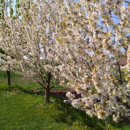 B&B Il Portico Praticello di Gattatico