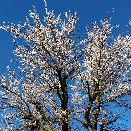 Bed & Breakfast B&B Il Portico