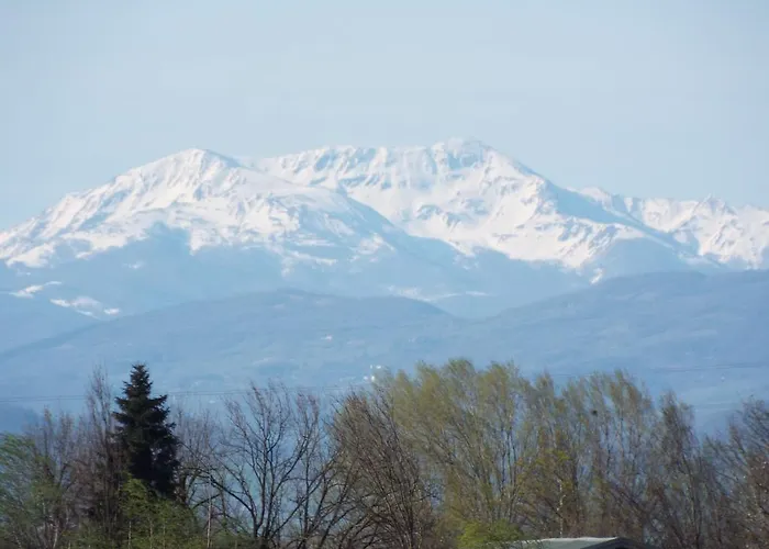 Il Portico 住宿加早餐酒店 Praticello di Gattatico