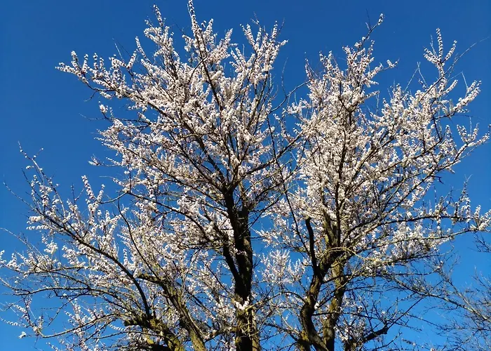 Bed & Breakfast Il Portico